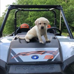 Meet your Posher, Tyler